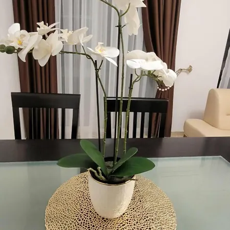 Silver Springs Premium Apartament
